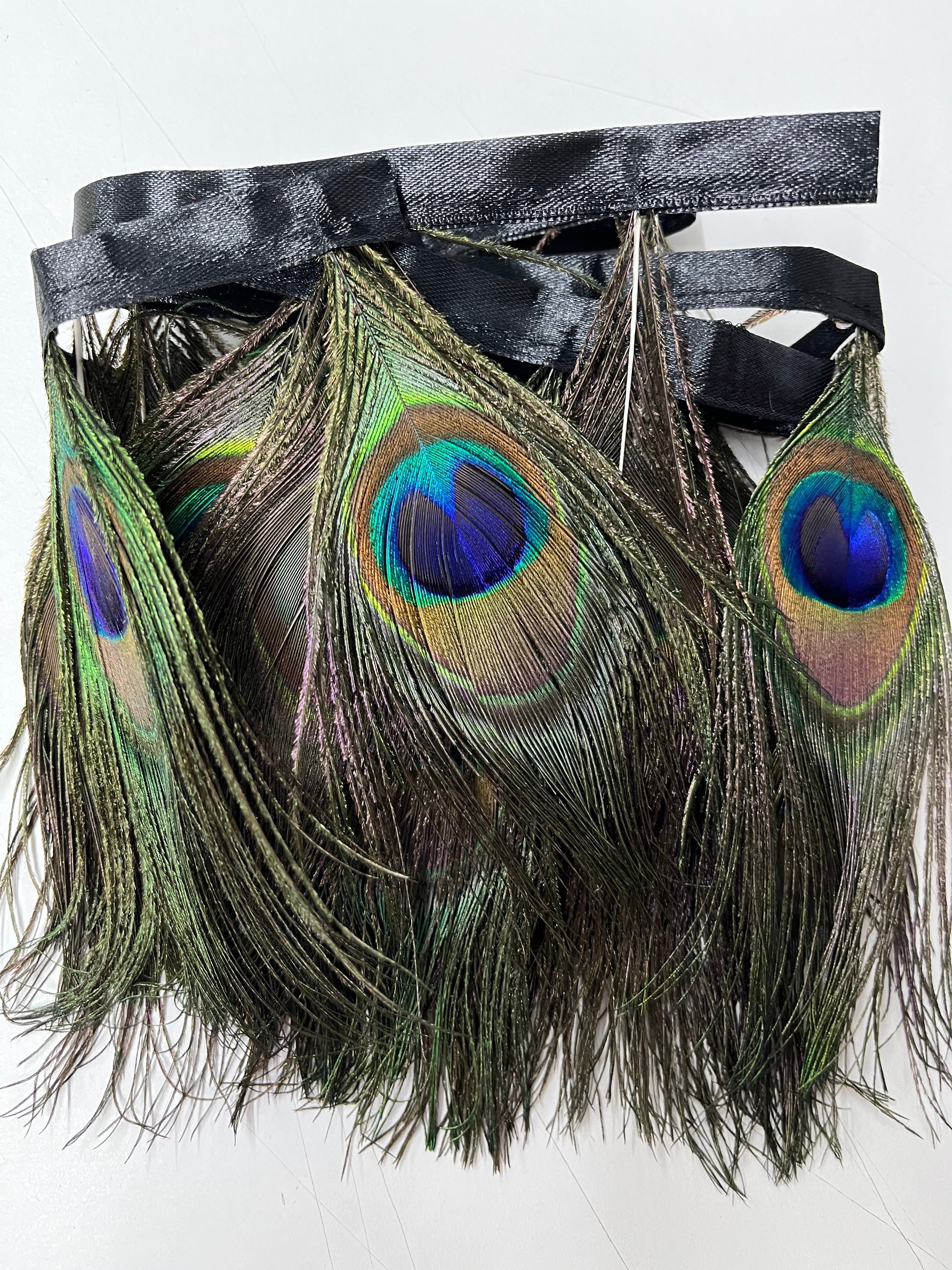 Peacock Feather Fringe