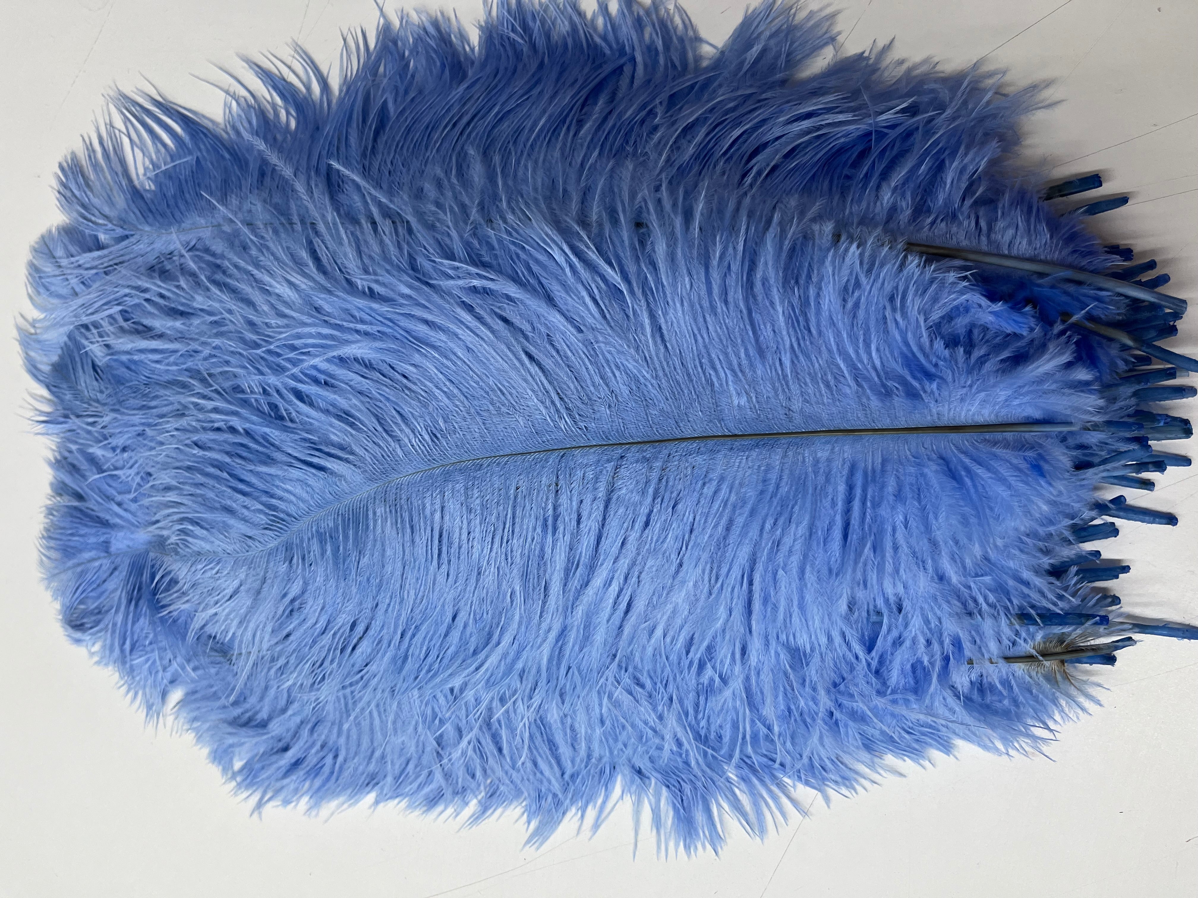 Ostrich Feathers, 100 Pieces - 8-10