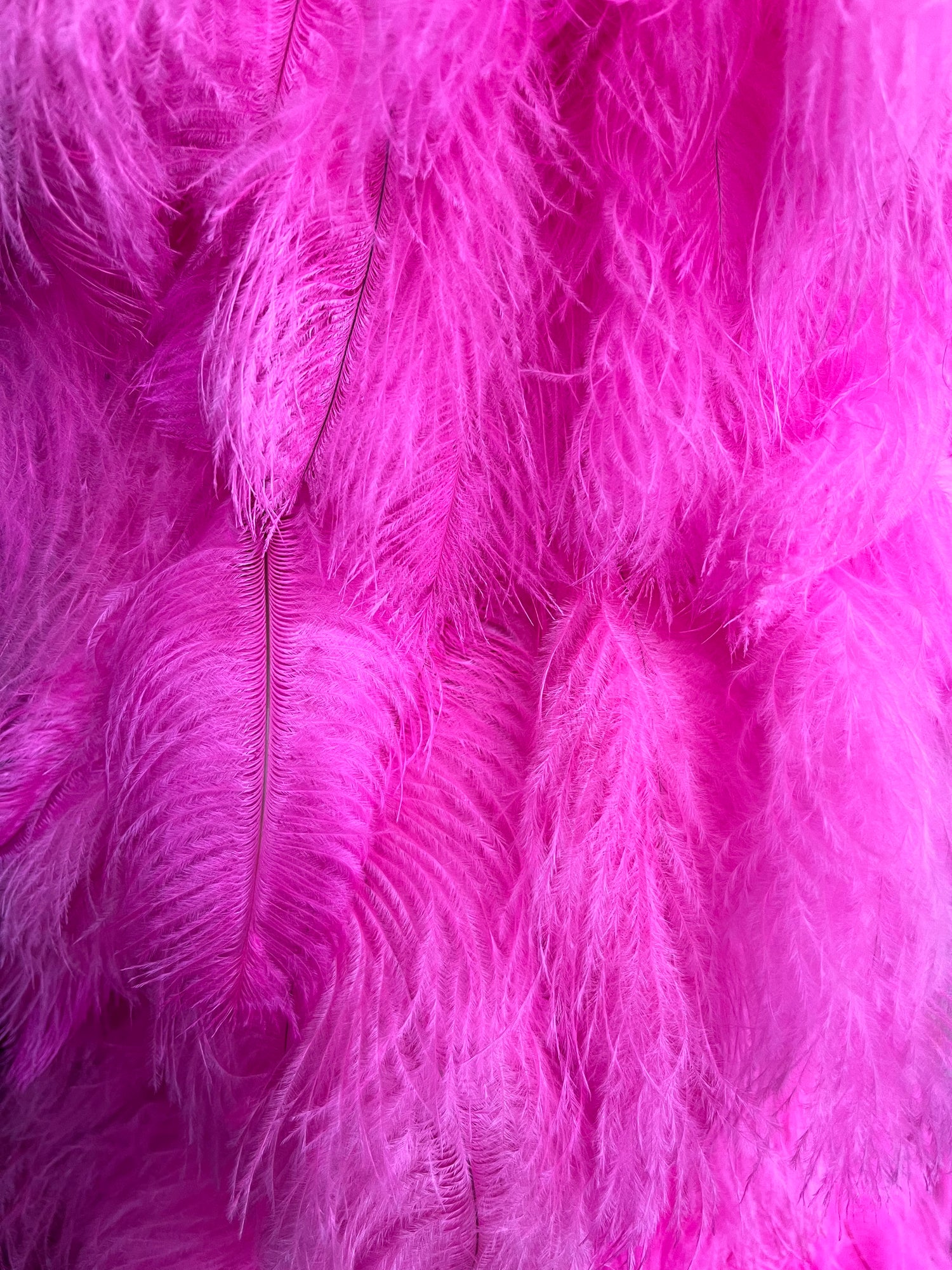 Ostrich Blondene Floss Feathers