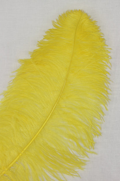 Ostrich Plumes – The ultimate choice for designers and performers