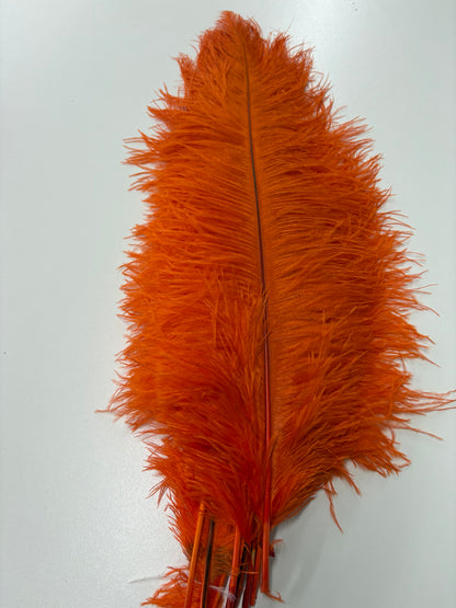 Ostrich Drab Feathers (Long)