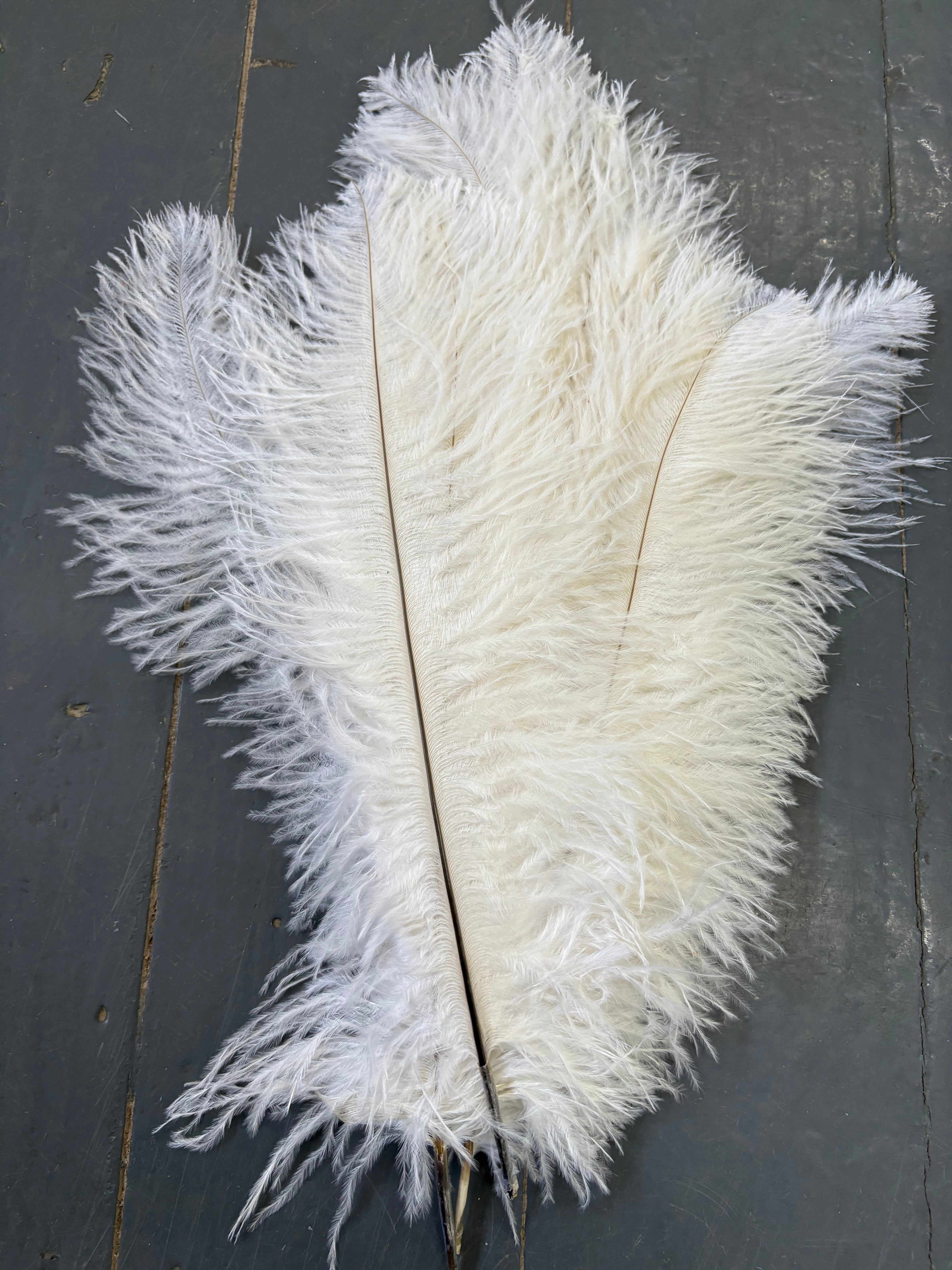Ostrich Blondene Floss Feathers