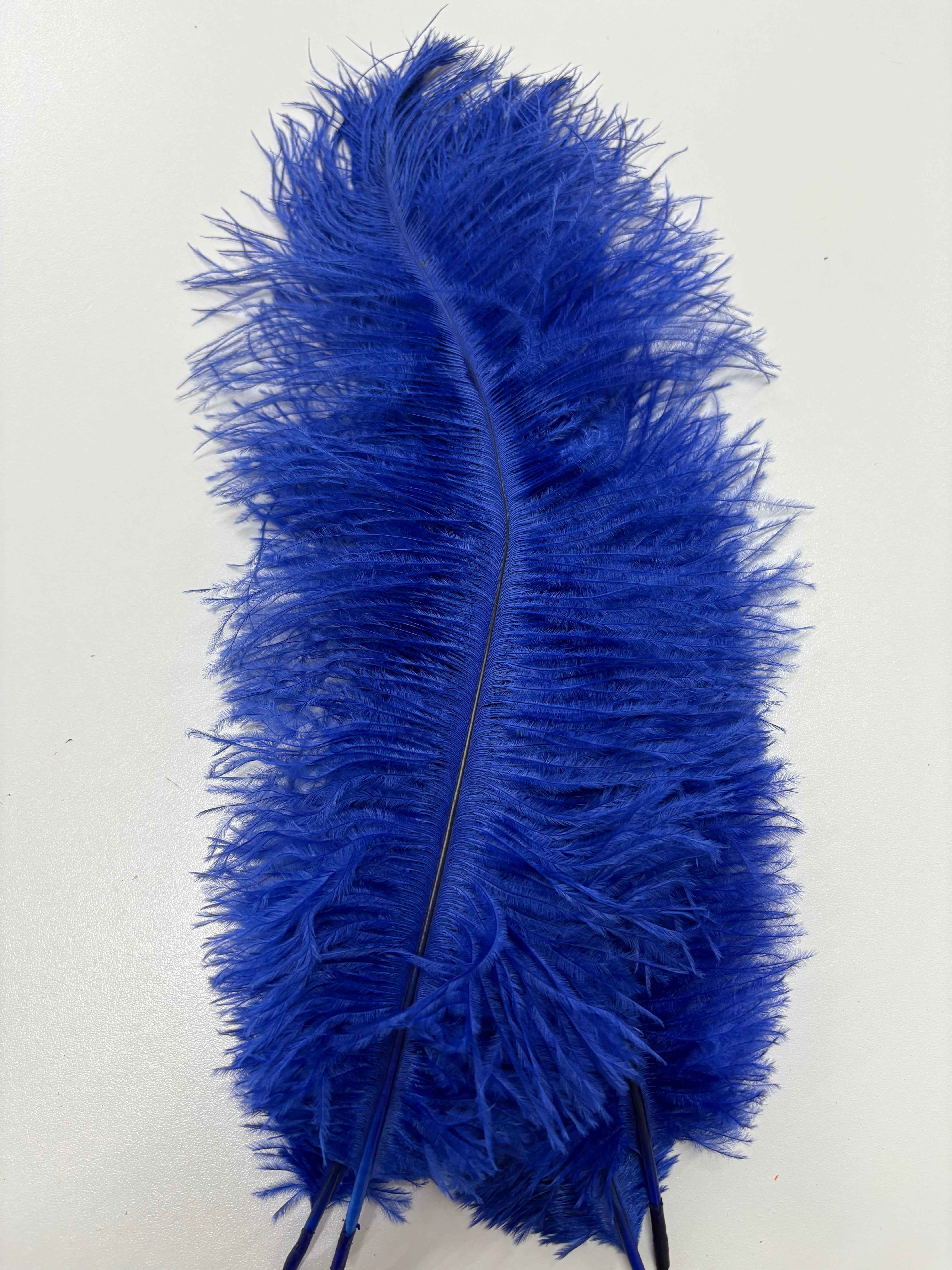 Ostrich Blondene Floss Feathers