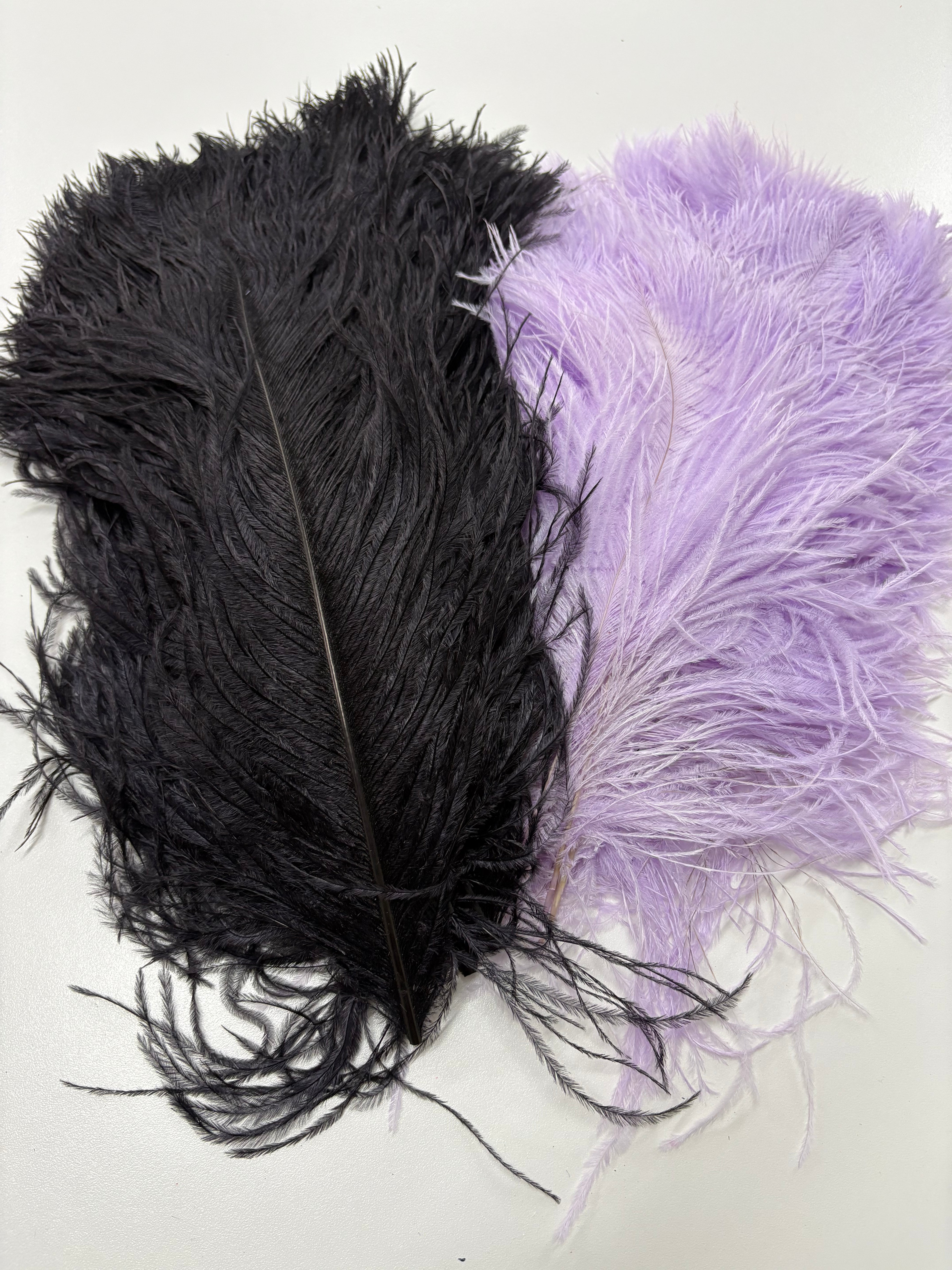 Ostrich Plume Tip Feathers