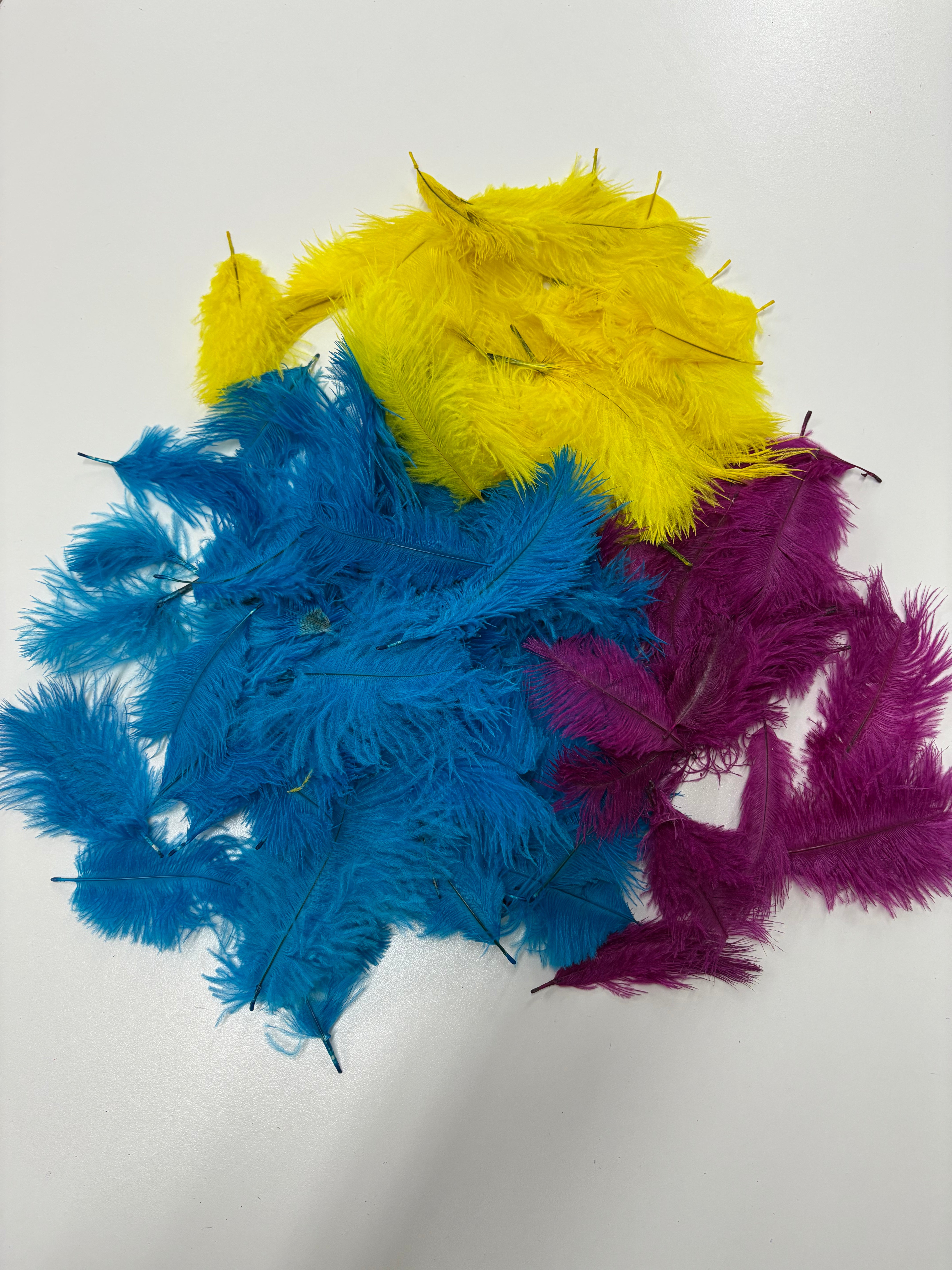 Ostrich Craft Feathers