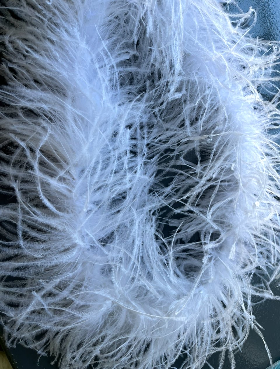 Ostrich with Marabou Feather Boa
