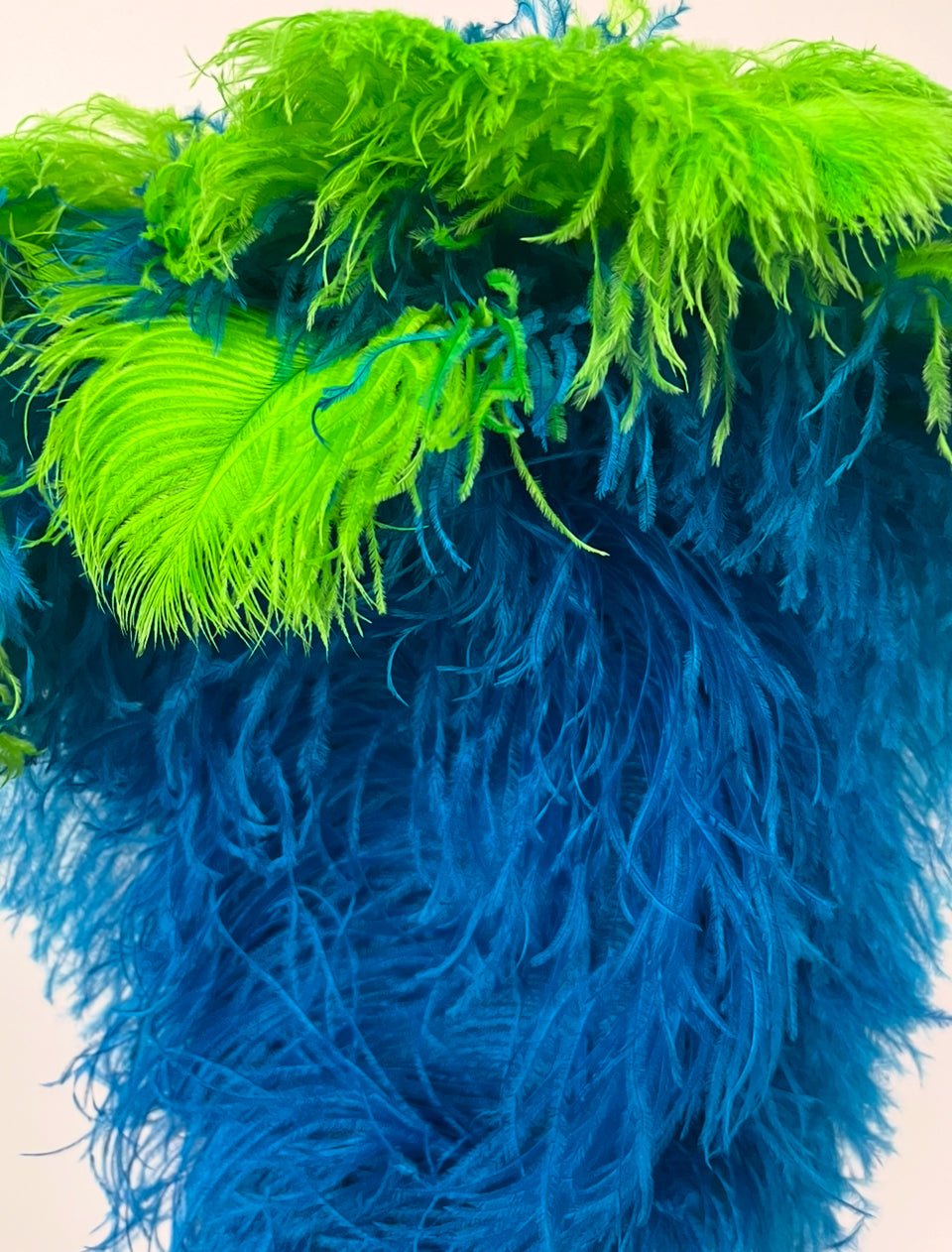 Ostrich Tip Dyed Plume Feathers | Ostrich Plumes