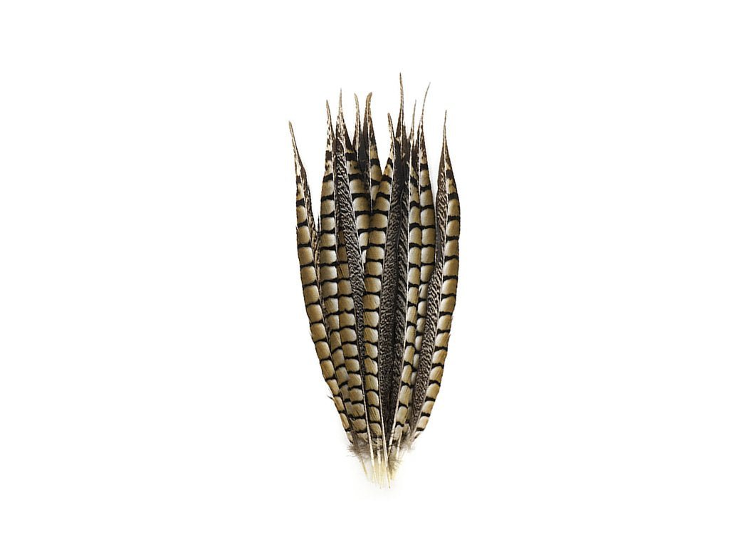 Lady Amherst Pheasant Feathers - Natural - Fancy Feather