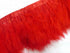 Turkey Marabou Feather Fringe - Fancy Feather