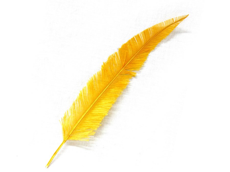 Ostrich Nandu (Spears) - Fancy Feather