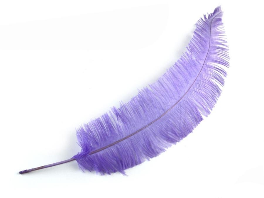 Ostrich Nandu (Spears) - Fancy Feather