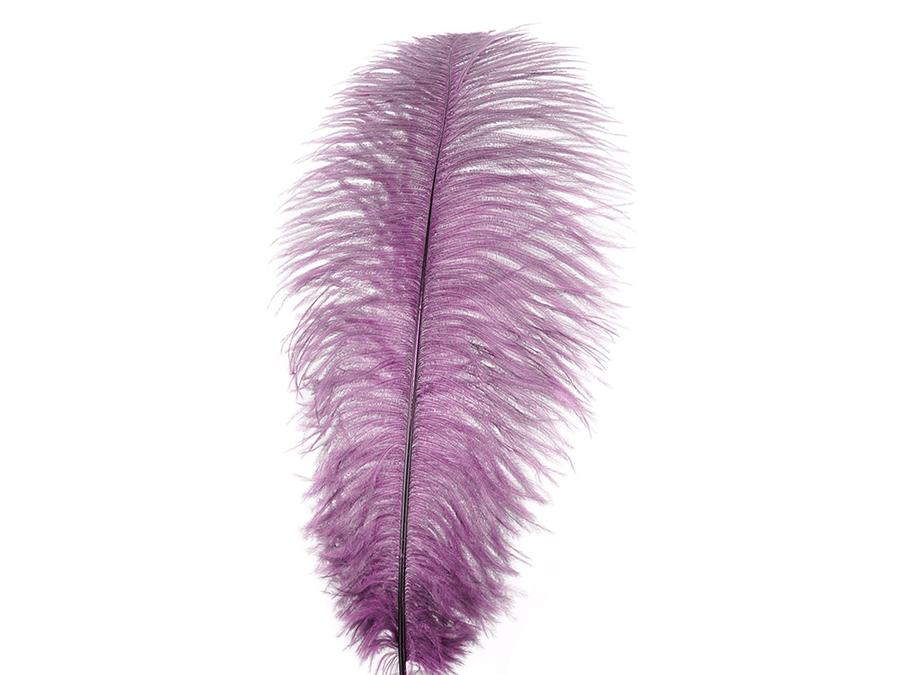 Ostrich Drab Feathers (Long) - Fancy Feather