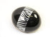 Decoupage Ostrich Egg Shell (Zebra) - Fancy Feather