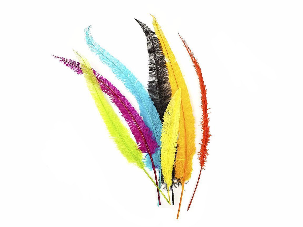 Ostrich Nandu (Spears) - Fancy Feather