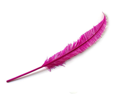 Ostrich Nandu (Spears) - Fancy Feather