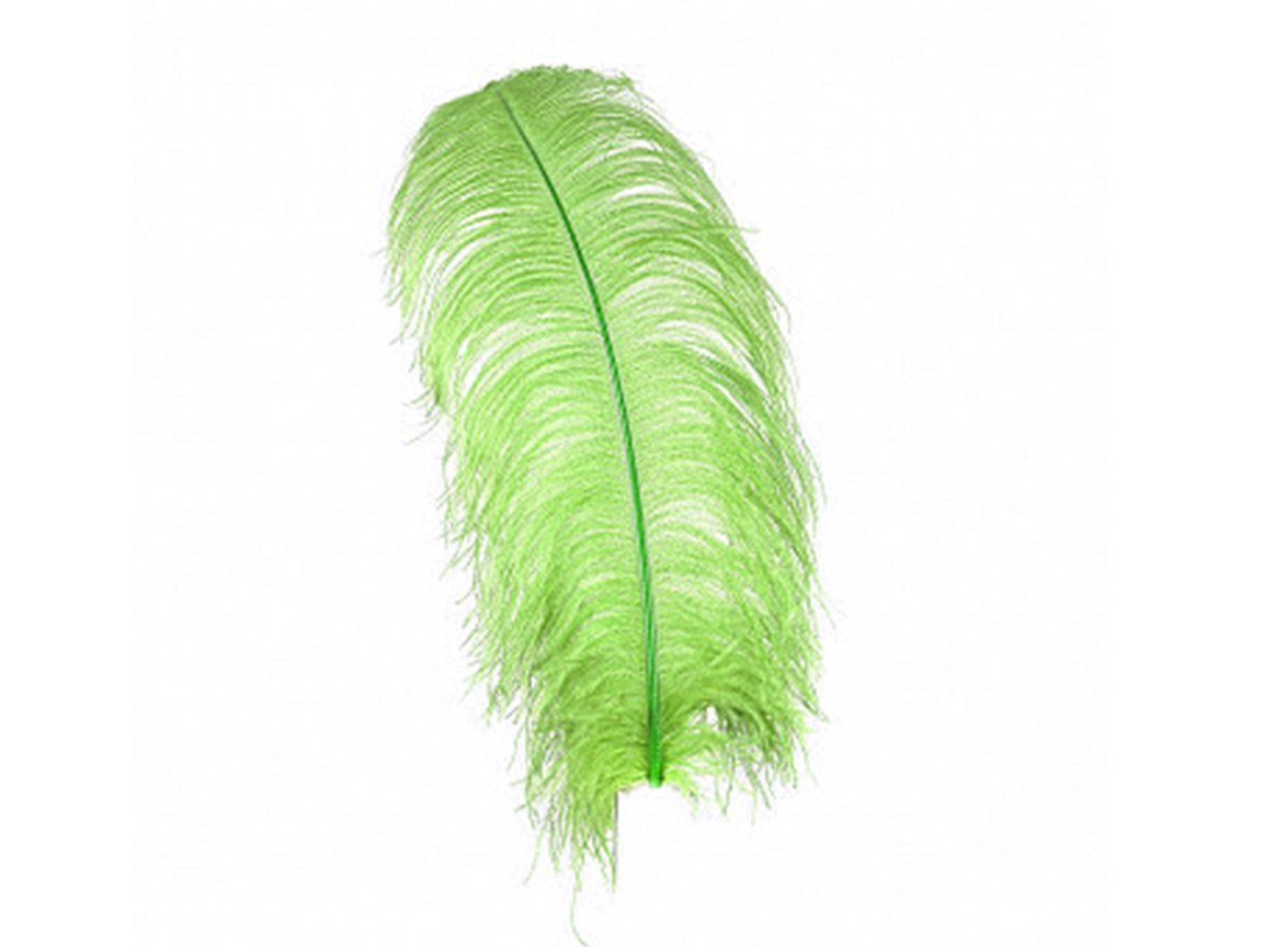 Ostrich Wing Feathers | Ostrich Plumes - Fancy Feather