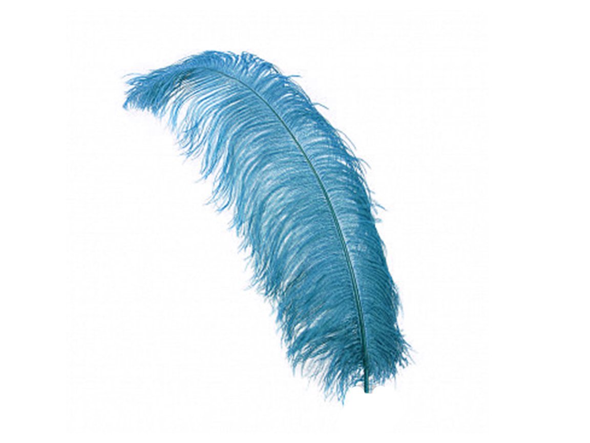 Ostrich Wing Feathers | Ostrich Plumes - Fancy Feather