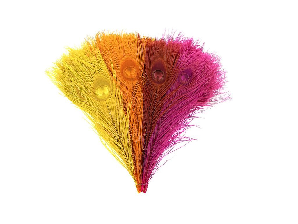 Peacock Eye Feathers - Bleached and Dyed - Fancy Feather