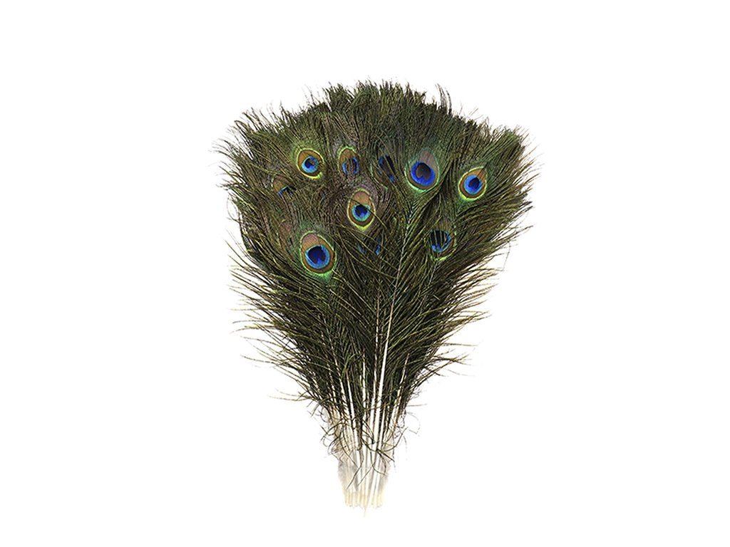 Peacock Eye Feathers - Fancy Feather