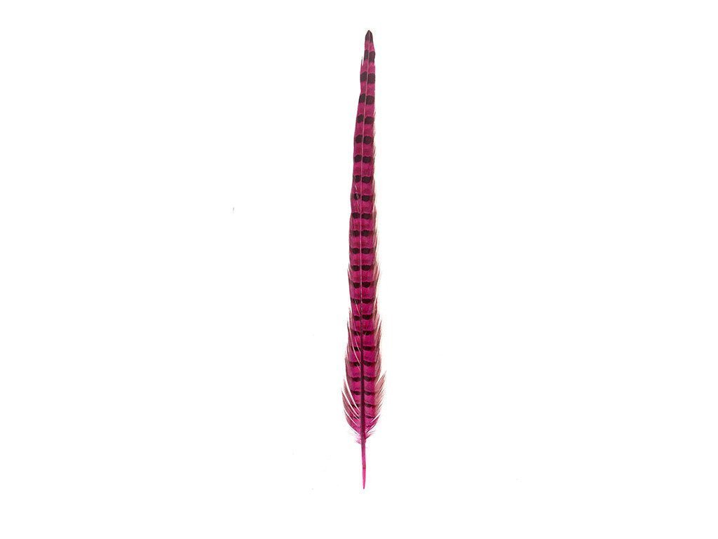 Pheasant Dyed Ringneck Feathers - Fancy Feather