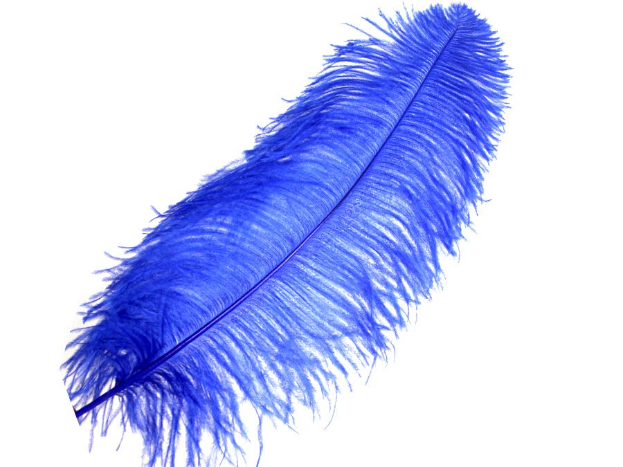 Ostrich Wing Feathers | Ostrich Plumes - Fancy Feather