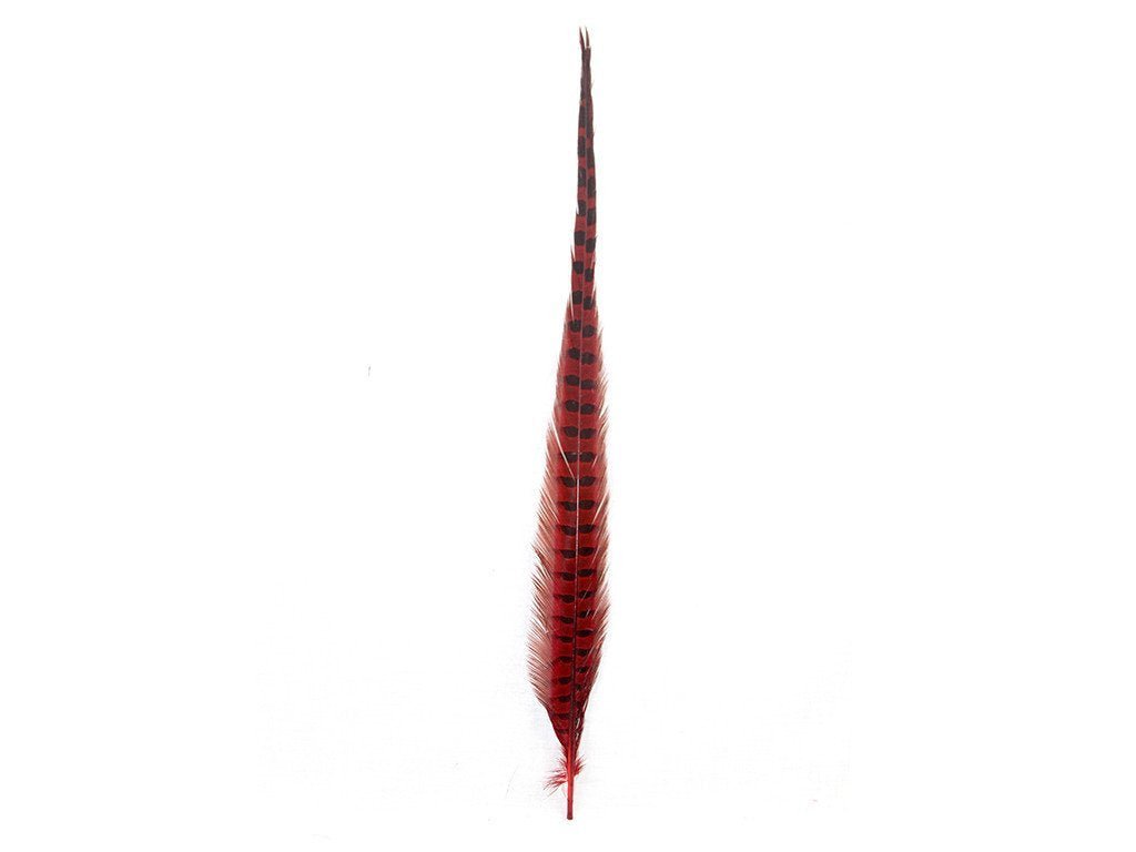 Pheasant Dyed Ringneck Feathers - Fancy Feather