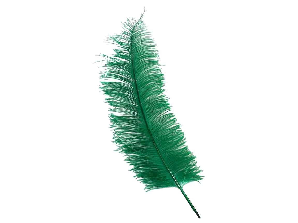 Ostrich Spad Feathers - Fancy Feather