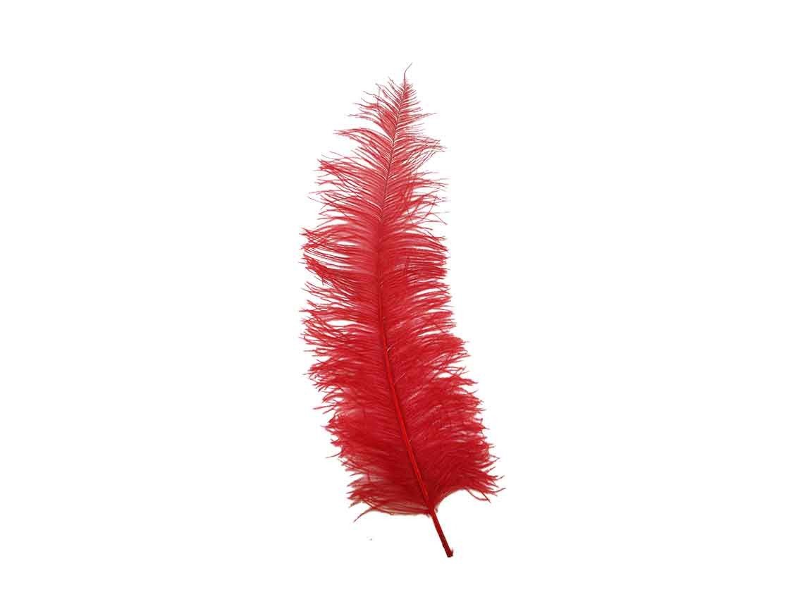 Ostrich Spad Feathers - Fancy Feather