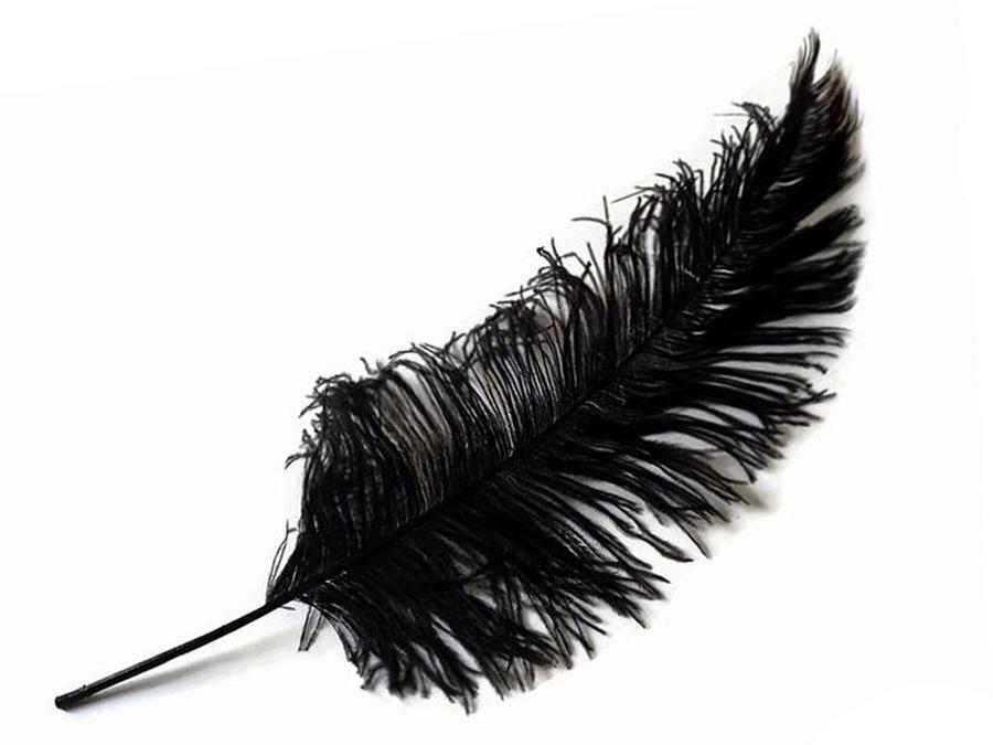 Ostrich Spad Feathers - Fancy Feather