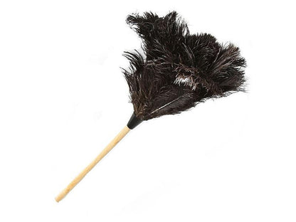 Standard Ostrich Feather Dusters - Fancy Feather