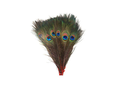 Peacock Eye Feathers - Stem Dyed - Fancy Feather