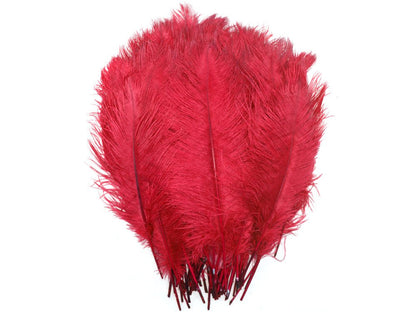 Ostrich Tail Feathers - Fancy Feather