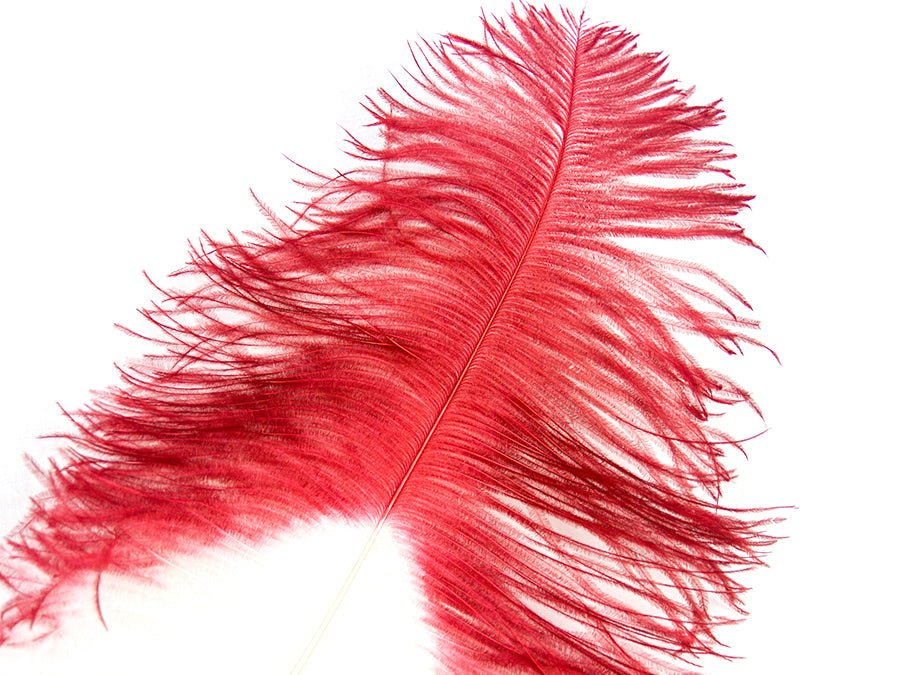 Ostrich Tip Dyed Wing Feathers | Ostrich Plumes - Fancy Feather