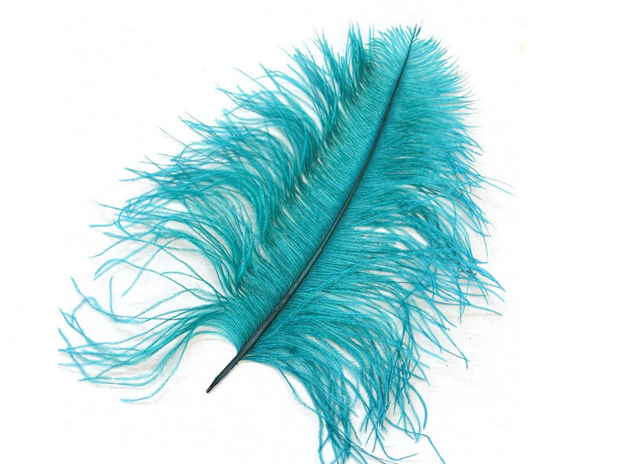 Ostrich Wing Tip Feathers - Fancy Feather