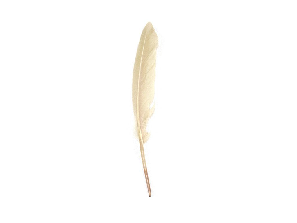 Duck Pointer Feathers - Fancy Feather
