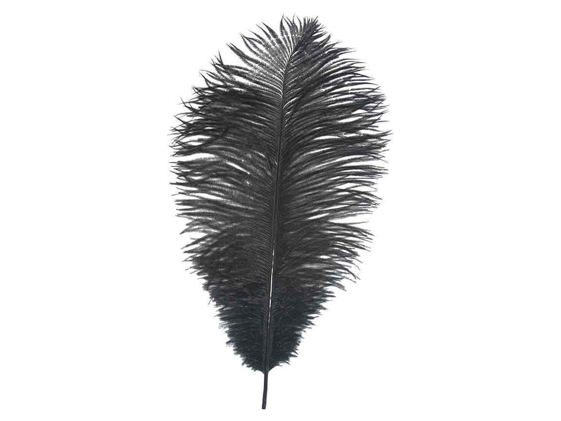 Ostrich Drab Feathers (Long) - Fancy Feather