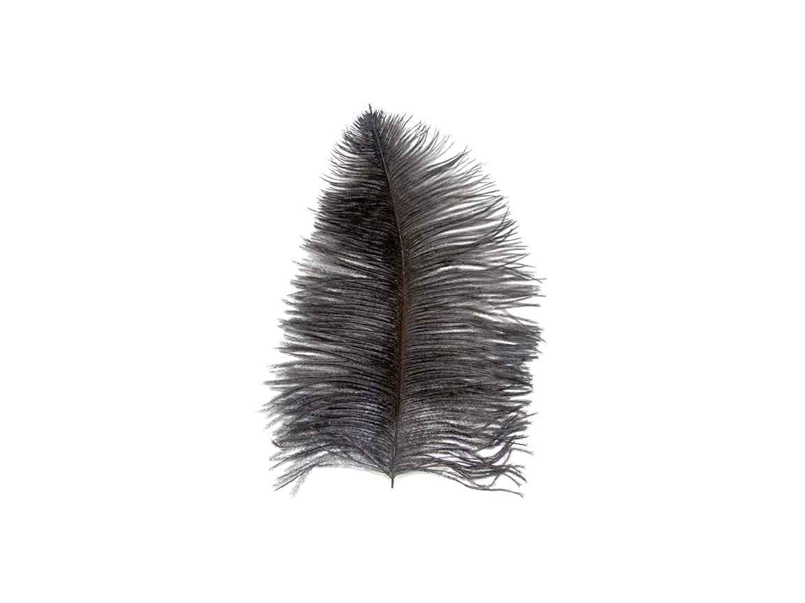 Ostrich Feather Spad Plumes 15-18 (Emerald Green) for Sale Online