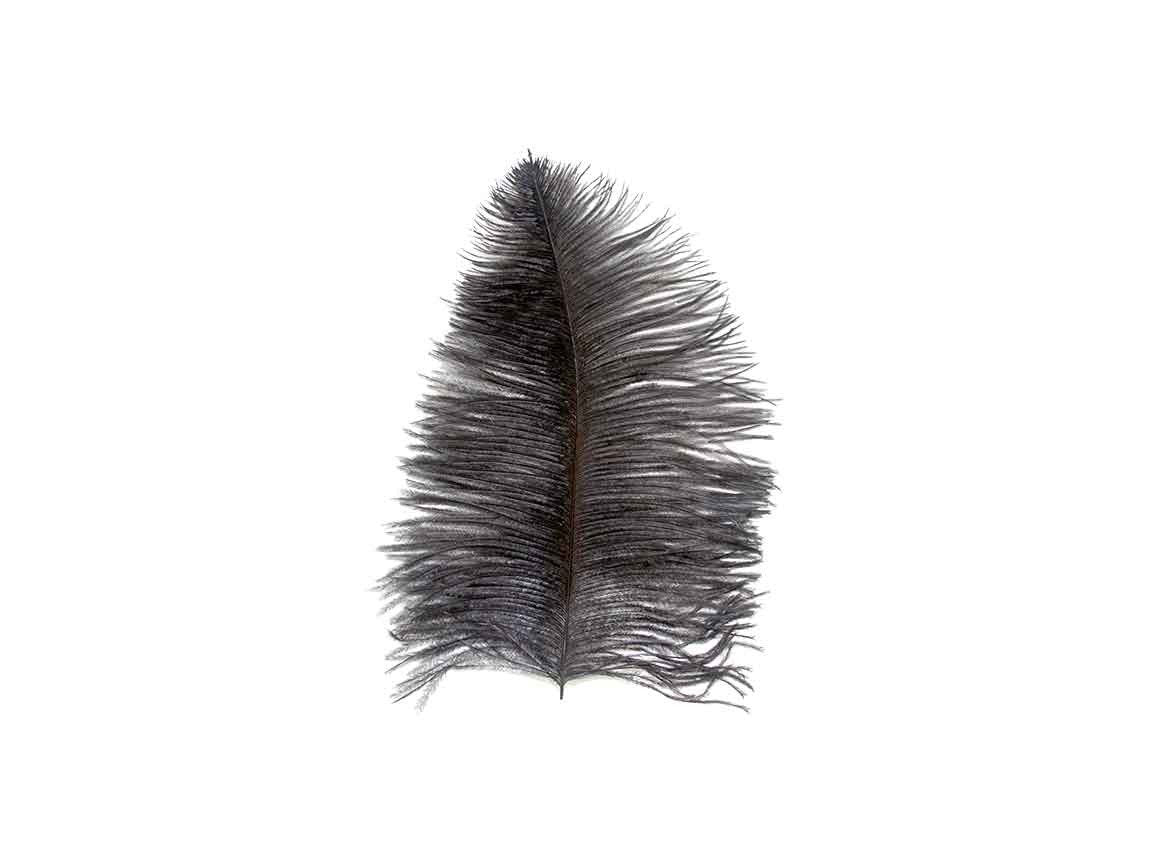 Ostrich Wing Tip Feathers - Fancy Feather