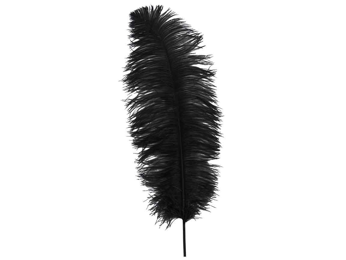 Ostrich Wing Feathers | Ostrich Plumes - Fancy Feather